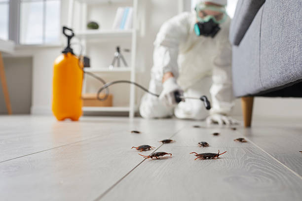 Commercial Kitchen Cockroach Control in Onarga